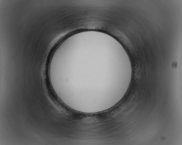 X0000102000536200808081702