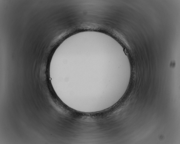 X0000102000538200808081702