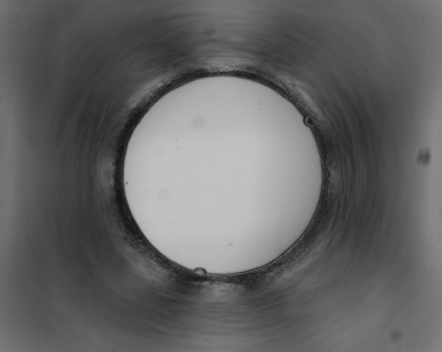 X0000102000539200808081702