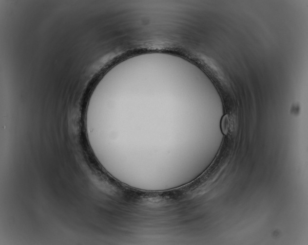 X0000102000540200808081702