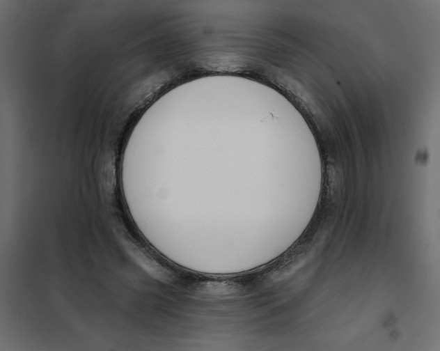 X0000102000541200808081702