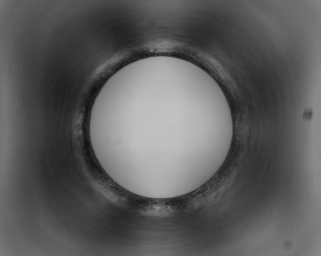 X0000102000543200808081703