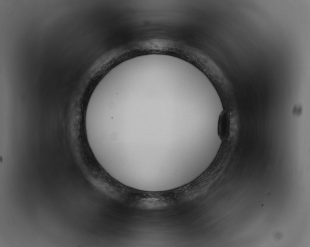 X0000102000544200808081703