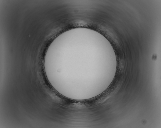 X0000102000545200808081703