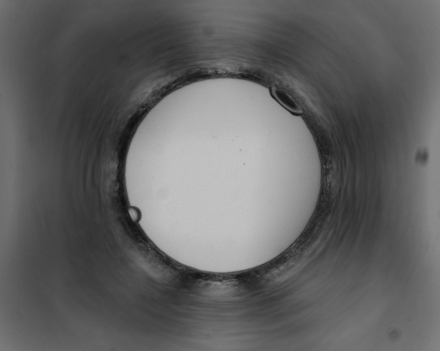 X0000102000548200808081703