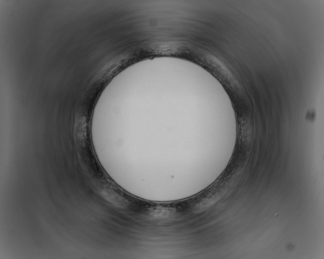 X0000102000549200808081703