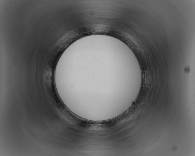 X0000102000550200808081703