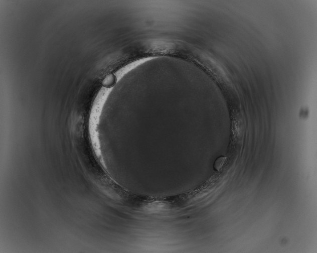 X0000102000551200808081703