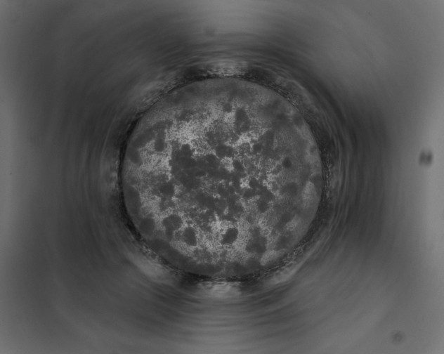 X0000102000553200808081703