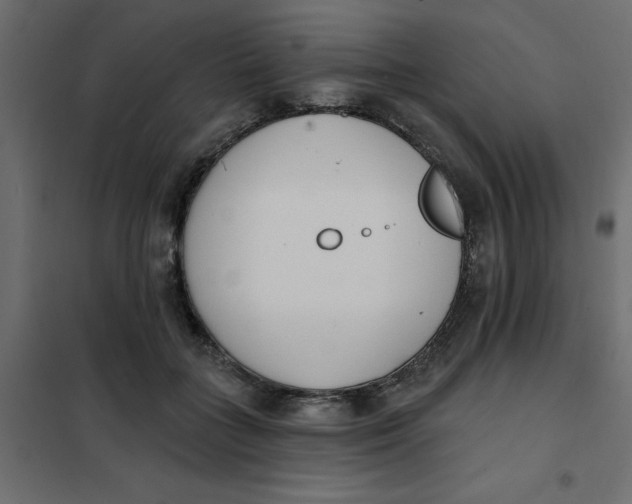 X0000102000555200808081703