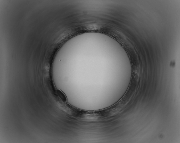 X0000102000556200808081703