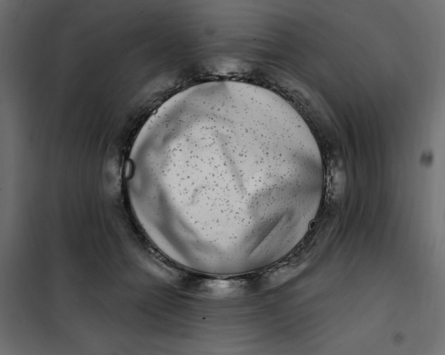 X0000102000558200808081703