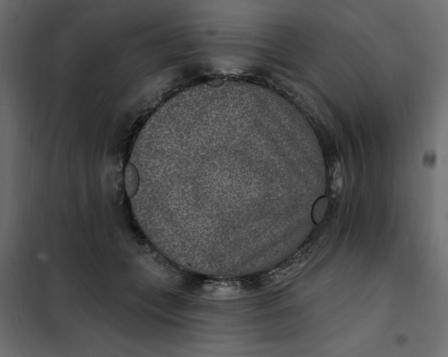 X0000102000559200808081703