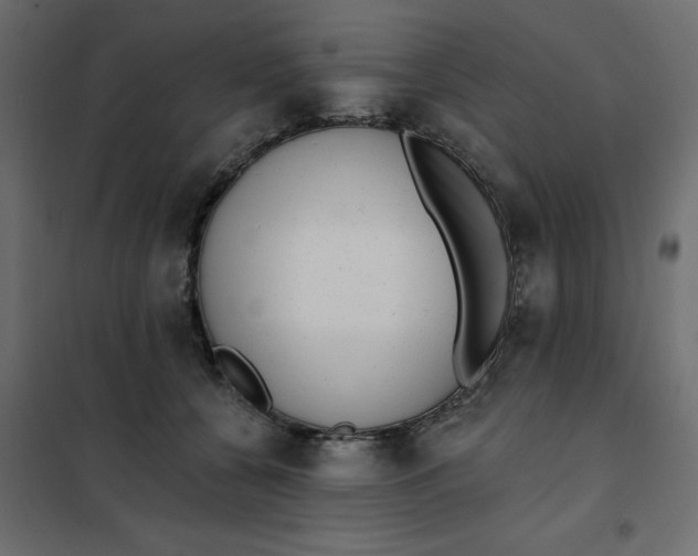 X0000102000560200808081703