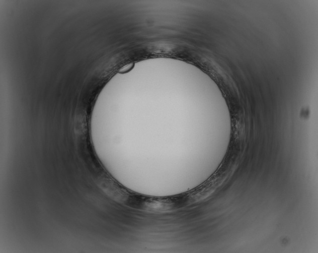 X0000102000561200808081703