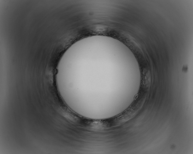 X0000102000562200808081703