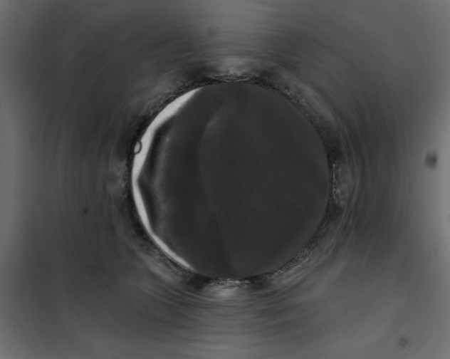 X0000102000563200808081703