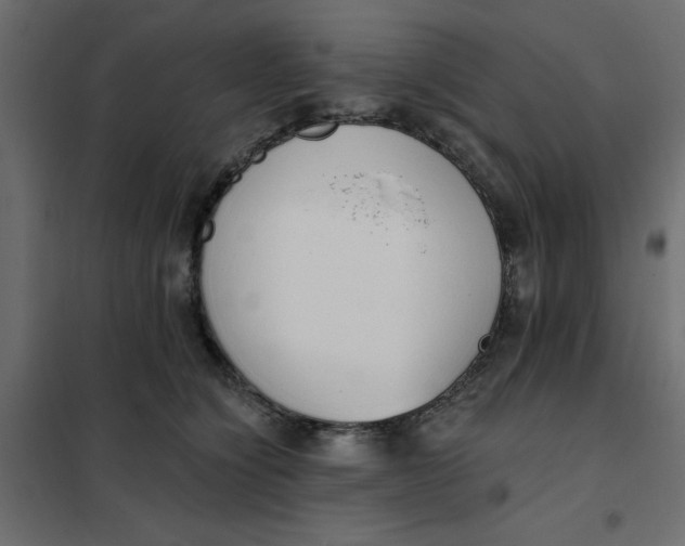 X0000102000564200808081703