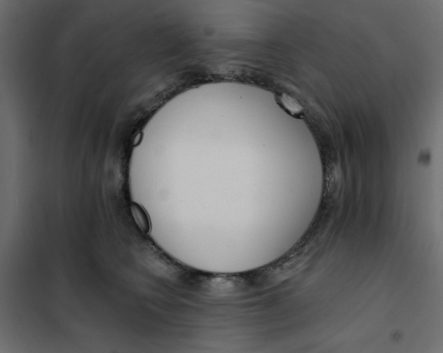 X0000102000566200808081703