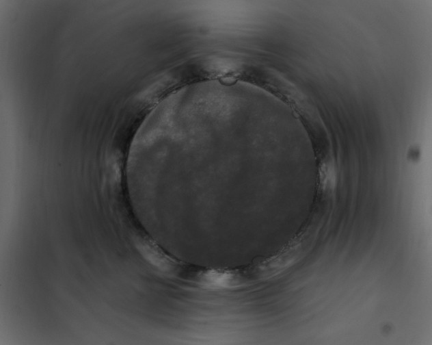 X0000102000570200808081703