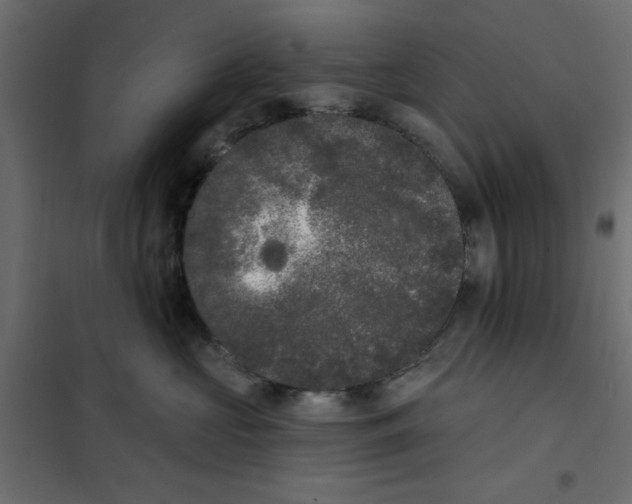 X0000102000573200808081703