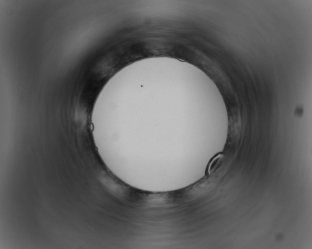 X0000102000574200808081703