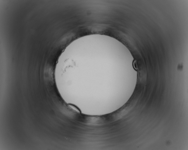 X0000102000575200808081703