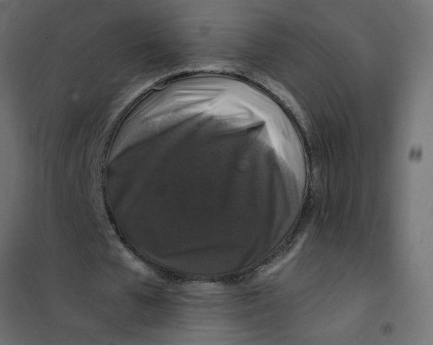 X0000102000577200808081702