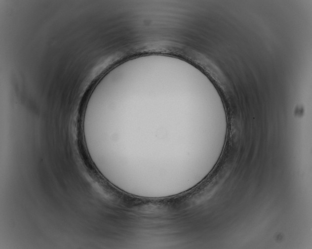 X0000102000578200808081702