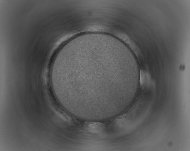 X0000102000579200808081702