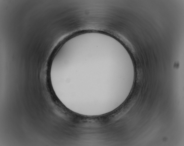 X0000102000580200808081702