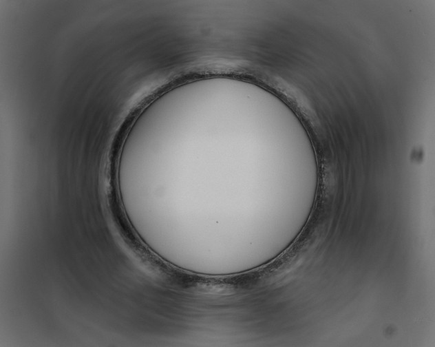 X0000102000582200808081702