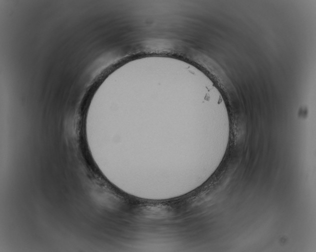 X0000102000583200808081702