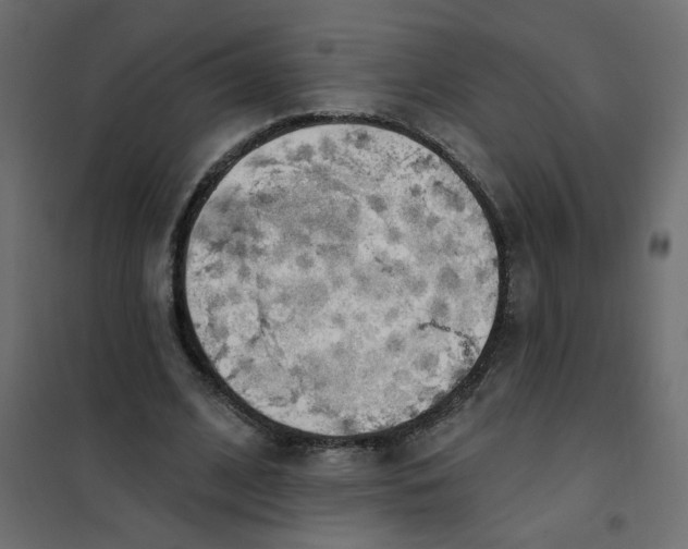 X0000102000584200808081702