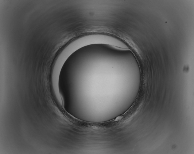 X0000102000585200808081702