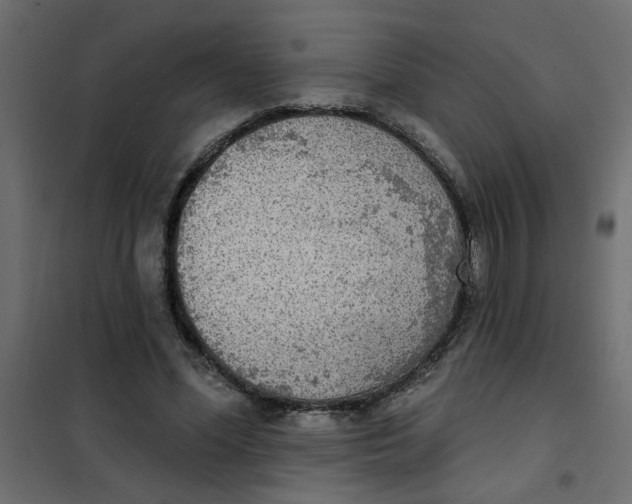 X0000102000588200808081702