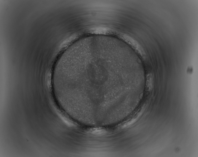 X0000102000589200808081702