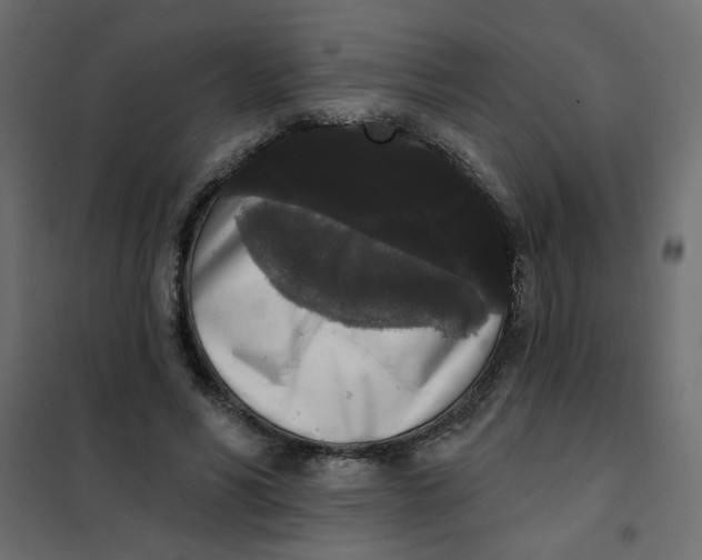 X0000102000590200808081702