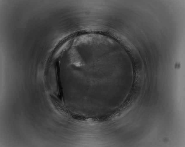 X0000102000592200808081702