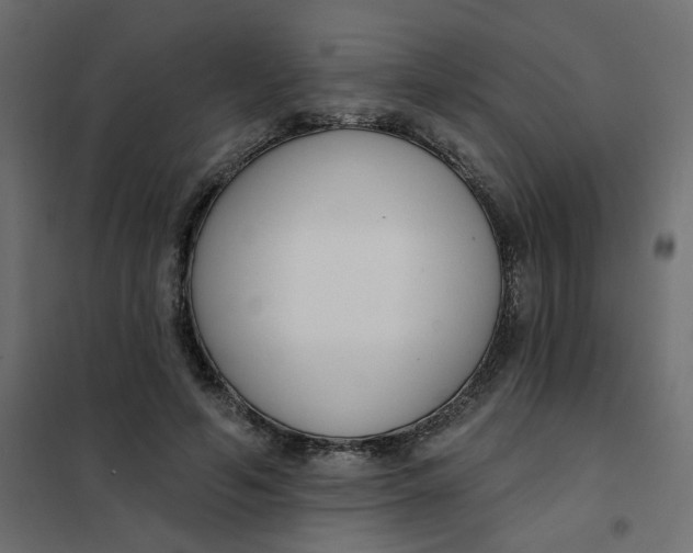 X0000102000594200808081702