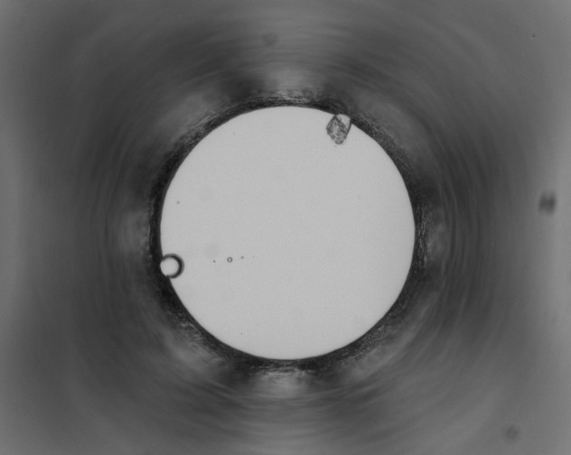 X0000102000595200808081702