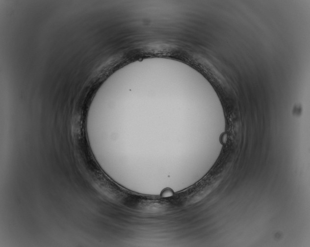 X0000102000597200808081702