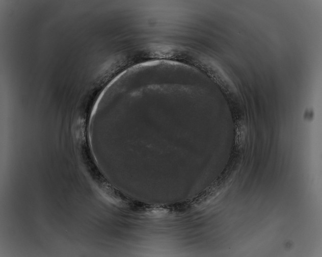 X0000102000598200808081702