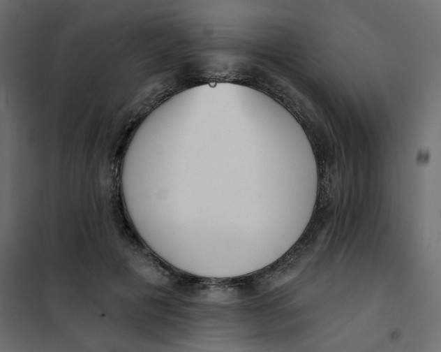 X0000102000601200808081702