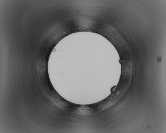 X0000102000603200808081702