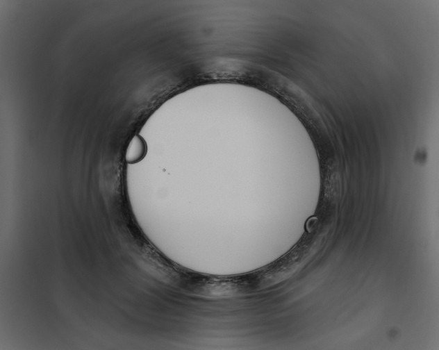 X0000102000604200808081702