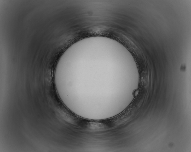 X0000102000605200808081702