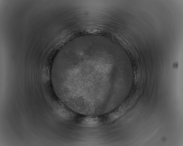 X0000102000606200808081702