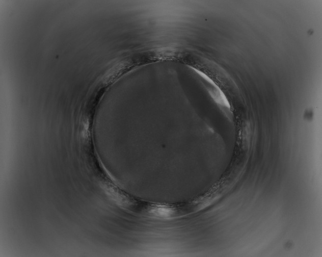 X0000102000610200808081702