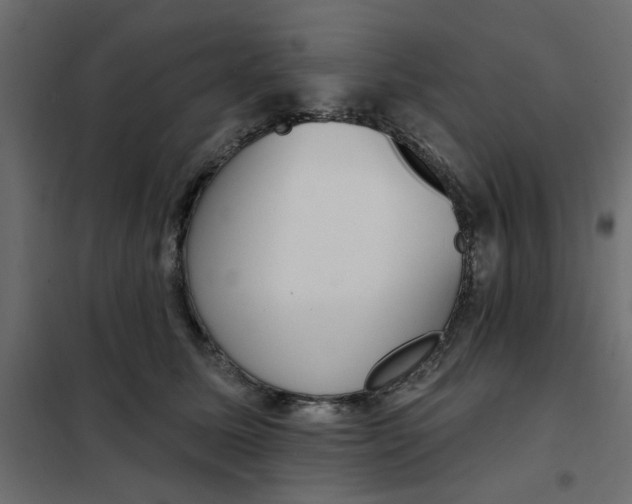 X0000102000611200808081702